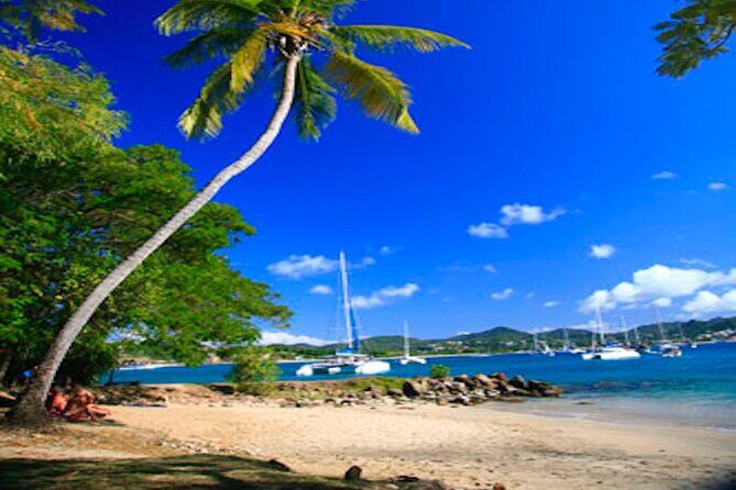 St Lucia Airport VIP Services & Private Transfers - What the $99 per person price buys (and what to double-check)
