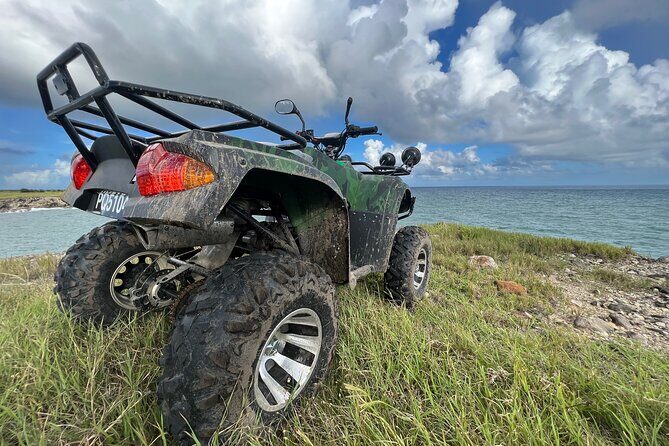 St Lucia ATV Tours (Best on Island) - Stop at Ma Kôté Mangrove: the nature break that actually has a reason