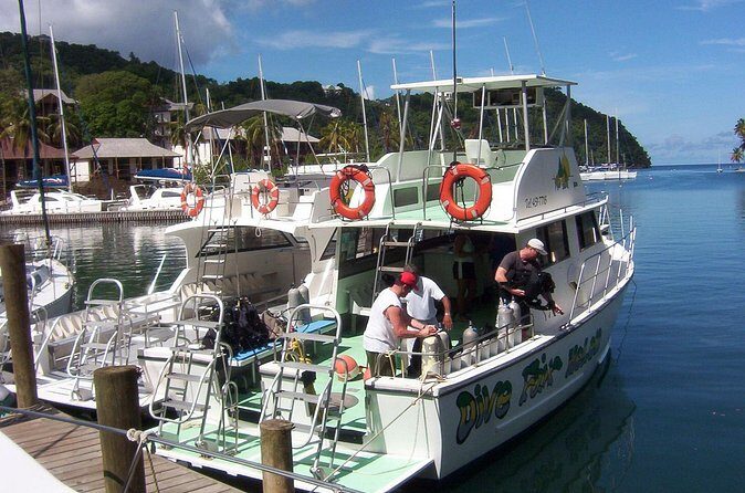 St Lucia Beginner Scuba Diving Tour - Where Your Scuba Session Happens: Anse Cochon and Soufriere Beach Marine Reserves