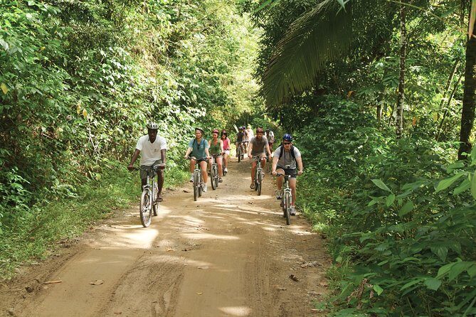St Lucia Bike and Hike - Mountain biking on forest trails (with a reality check on “trail time”)