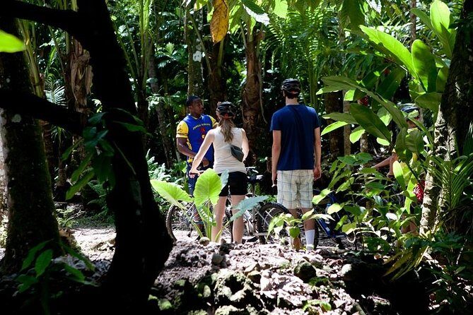 St Lucia Bike and Hike - Sault Falls: the main event for views and swimming