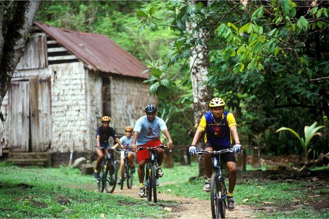 St Lucia Bike and Hike - Errard Falls: a quick dip that resets your legs