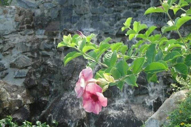 St Lucia Northern Island Tour - What makes this north tour worth your time