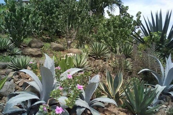 St Lucia Northern Island Tour - Lucians Country House: a short hike that’s actually worth it