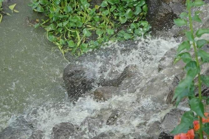 St Lucia Northern Island Tour - Price and value: is $125 a good deal for a private 5-hour day?