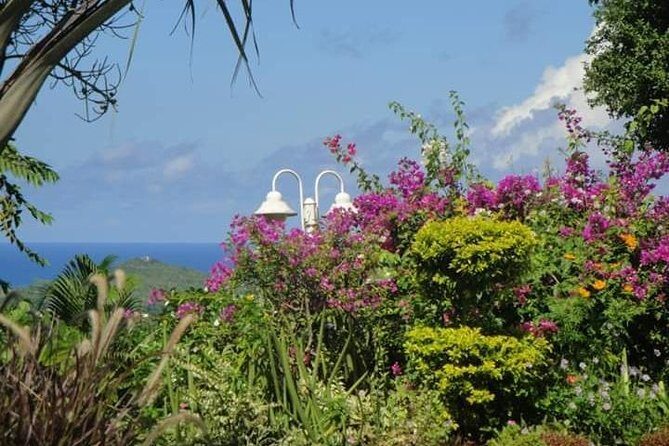 St Lucia Northern Island Tour - The garden and mini-forest walk: nature education at a comfortable pace