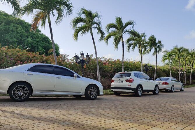 St Lucia Private Airport & Resort Transfers - VIP Fast Track: faster queues, calmer arrival