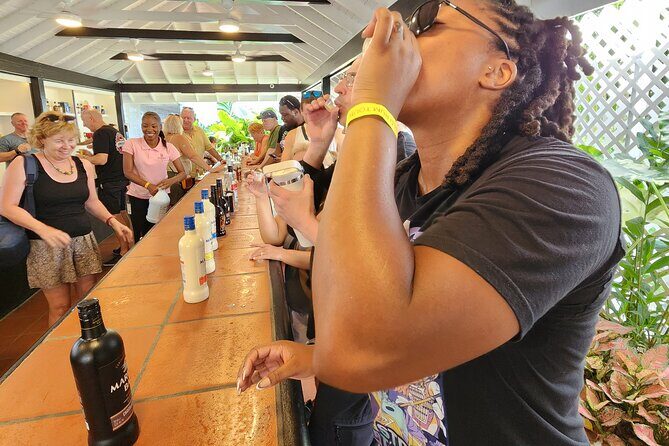 St Lucia Rum Distillery Tour & Mineral Bath Excursion - Key highlights you’ll feel right away