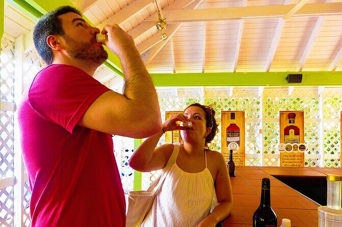 St Lucia Rum Distillery Tour & Mineral Bath Excursion - Sulphur Springs: how to get the most from 30 minutes