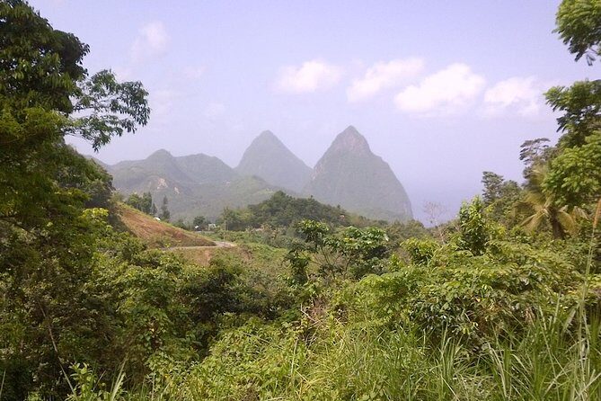 St. Lucia Tet Paul Nature Trail Tour - Tet Paul Nature Trail at a glance: what makes this day work