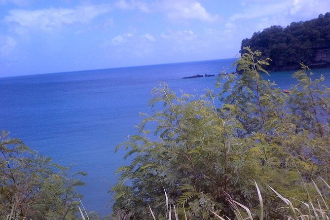 St. Lucia Tet Paul Nature Trail Tour - Entering the Tet Paul Nature Trail: what the six acres feel like