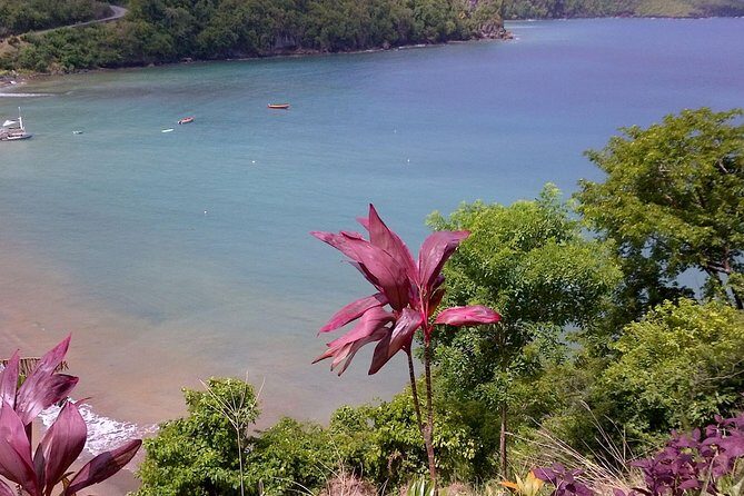 St. Lucia Tet Paul Nature Trail Tour - Snacks and the end-of-walk reward