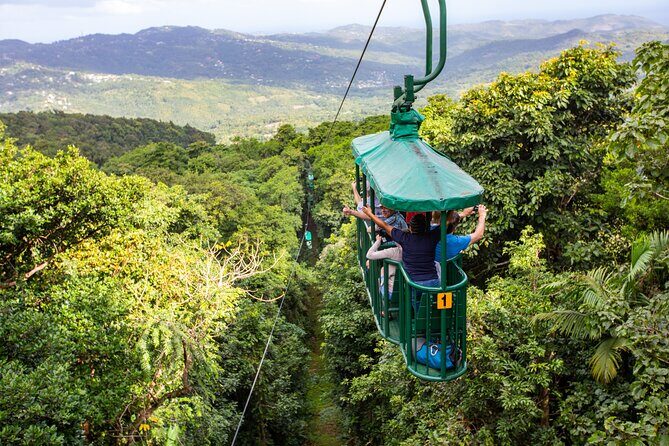 St Lucia Ultimate 3 Package: Aerial Tram, Zipline and Hiking - Three Canopy Thrills in Castries Waterworks Reserve