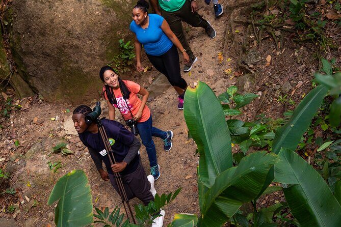 St Lucia Ultimate 3 Package: Aerial Tram, Zipline and Hiking - Safety, Fitness, and Gear Rules That Matter
