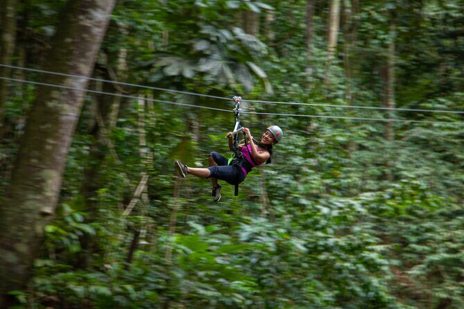 St Lucia Ultimate 3 Package: Aerial Tram, Zipline and Hiking - Who Should Book (and who should skip)?