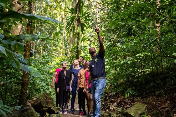 St Lucia Ultimate 3 Package: Aerial Tram, Zipline and Hiking - Should You Book the St Lucia Ultimate 3 Package?