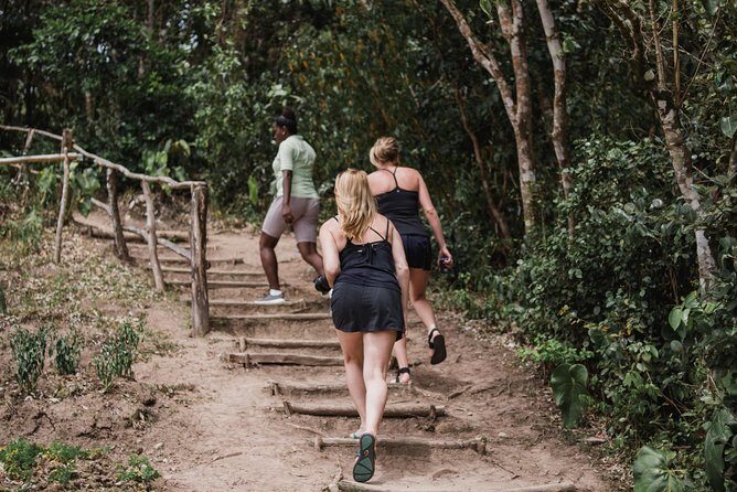 Tet Paul Nature Trail Tour - Pitons views: how to time your effort for the best payoff