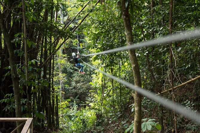 Treetop Canopy Adventure - Key things to know before you zip in St. Lucia