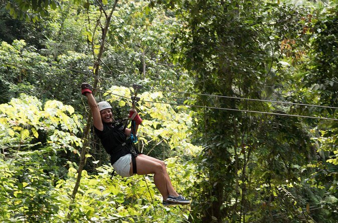 Treetop Canopy Adventure - Platform-to-platform views: the stops that make it more than speed