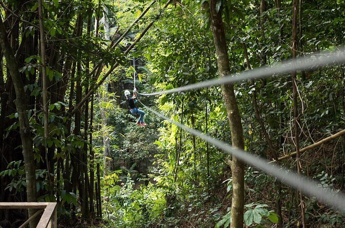 Treetop Canopy Adventure - Complimentary refreshments: the moment you land and catch your breath