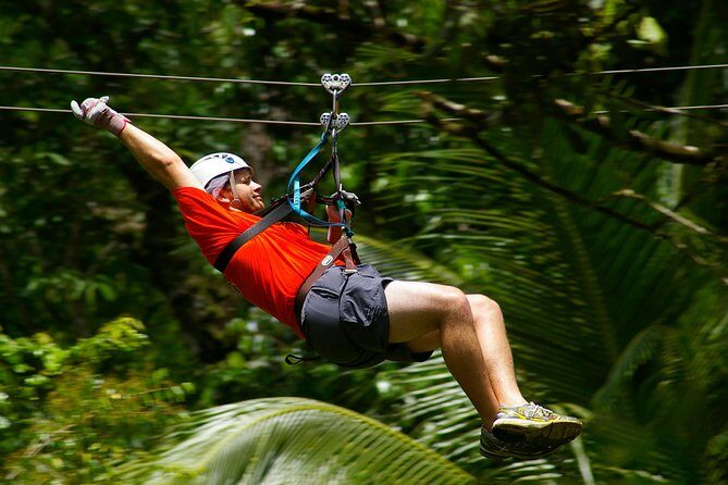 Treetop Canopy Adventure - The 5-hour half-day rhythm: what “half-day” feels like