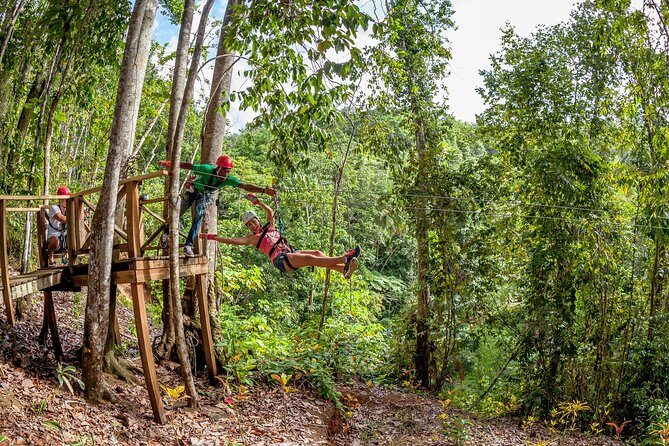 Treetop Zipline Experience From Castries - Why This Zipline Feels Better Than a Beach-Only Day in St Lucia