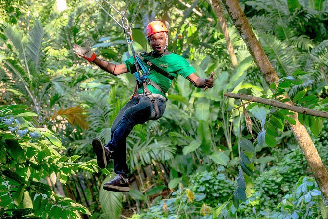 Treetop Zipline Experience From Castries - The 12-Line Treetop Course: Long Runs, Fast Moments, Big Views