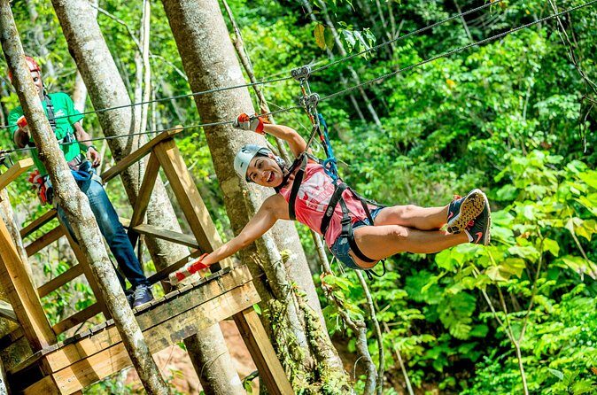 Treetop Zipline Experience From Castries - Spotting Caribbean Flora and Fauna From Above (Without Needing a Biology Degree)