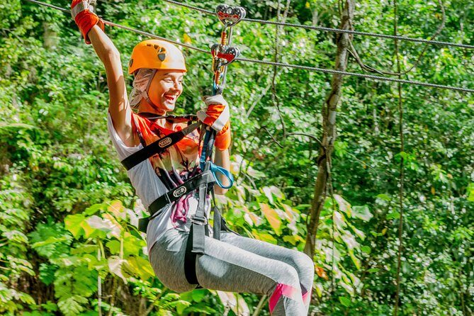 Treetop Zipline Experience From Castries - Refreshments and the Come-Down: Ending the Ride in Comfort