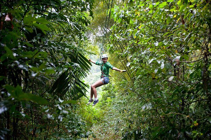 Treetop Zipline Experience From Castries - Price and Value: What $121.60 Is Buying You