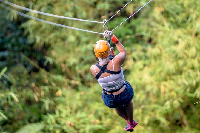 Treetop Zipline Experience From Castries - Rodney Bay Pickup to the Start: Fewer Headaches, More Flight Time