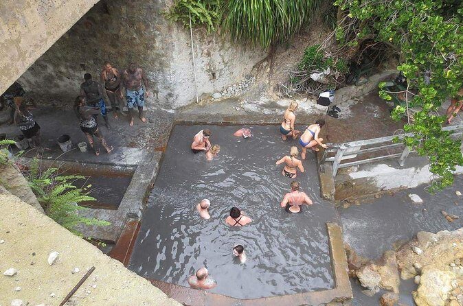 Volcanic Tour and Botanical Gardens - Guides and Drivers: The Little Details That Change the Day